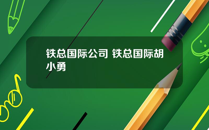 铁总国际公司 铁总国际胡小勇